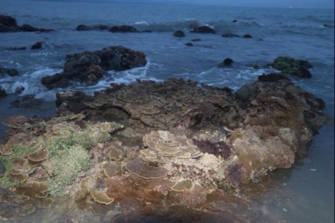 蓝丝带海洋保护协会携手招商维京游轮推动中国海岸旅游目的地保护