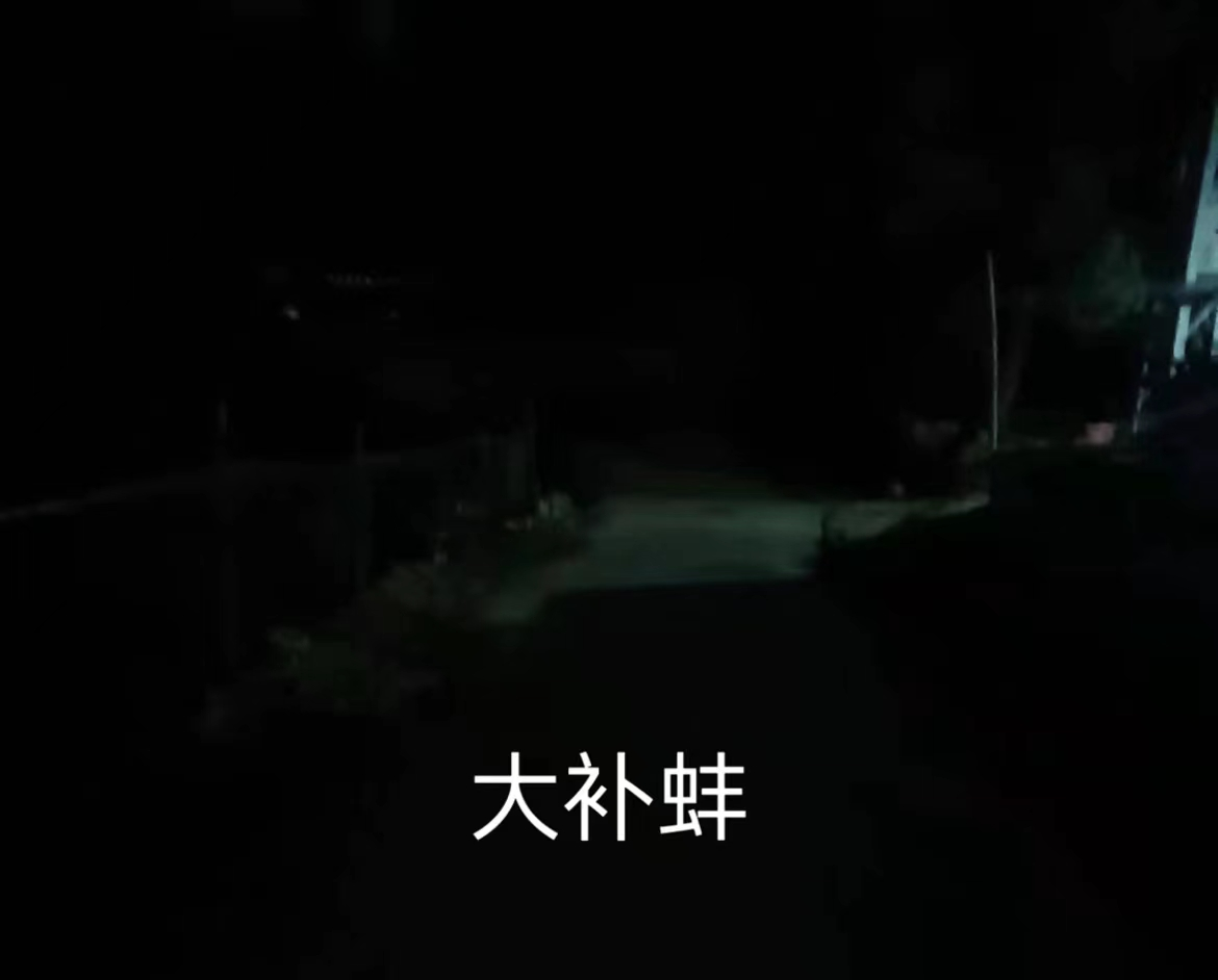 1651141532974875.png