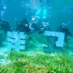 “一带一路”深蓝共护：薄荷岛珊瑚保育与生物多样性行动圆满成功