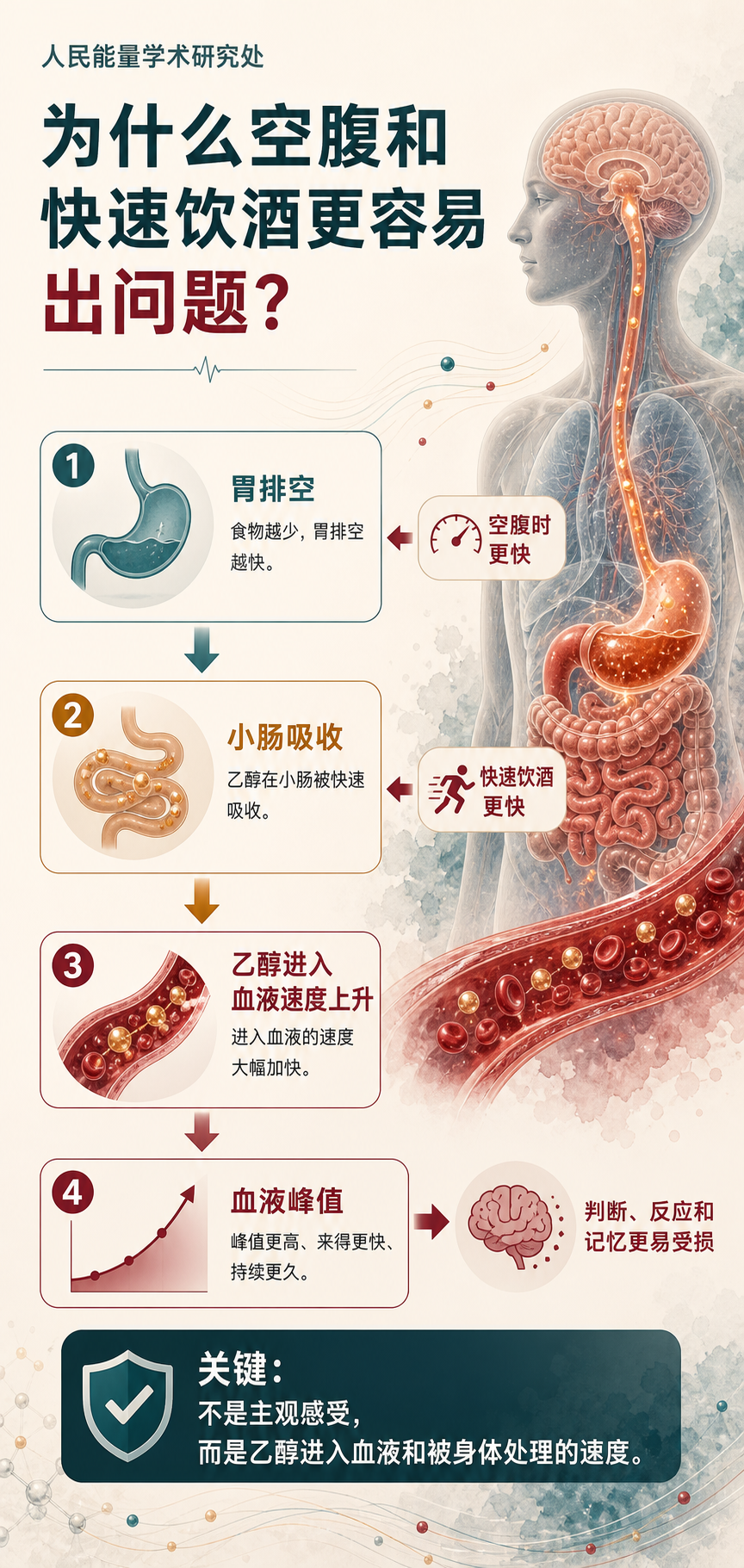 02 为什么空腹和快速饮酒更容易出问题?