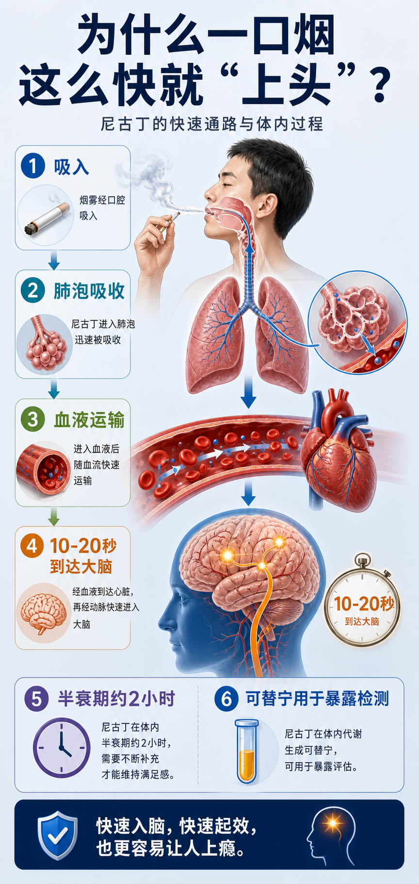 为什么一口烟这么快就“上头”?