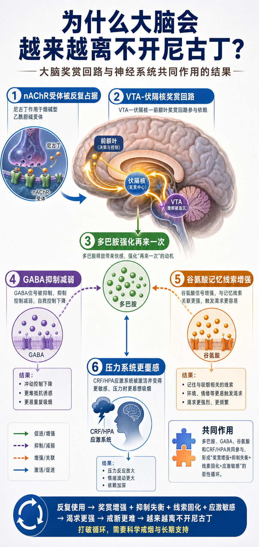 为什么大脑会越来越离不开尼古丁?