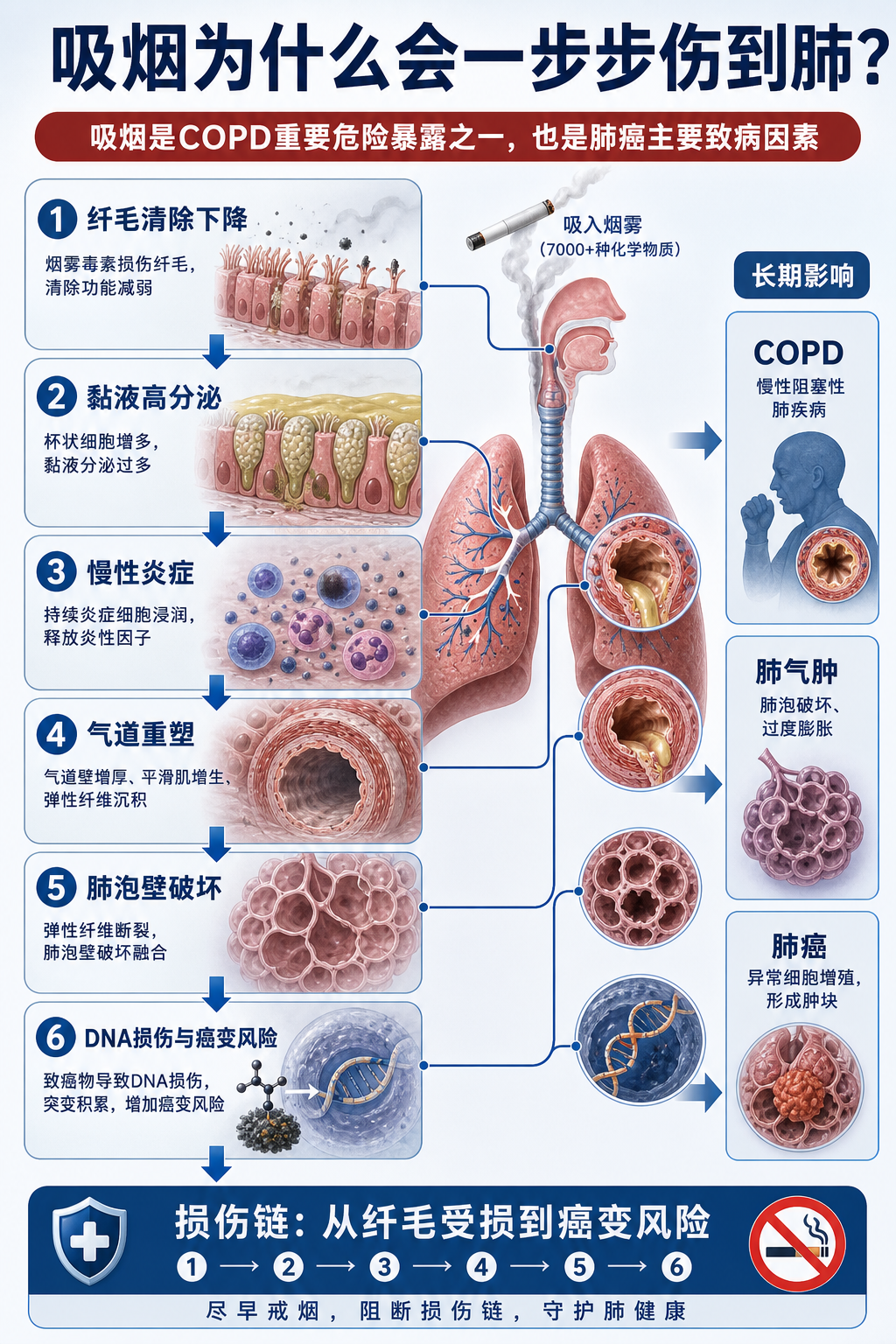 吸烟为什么会一步步伤到肺?