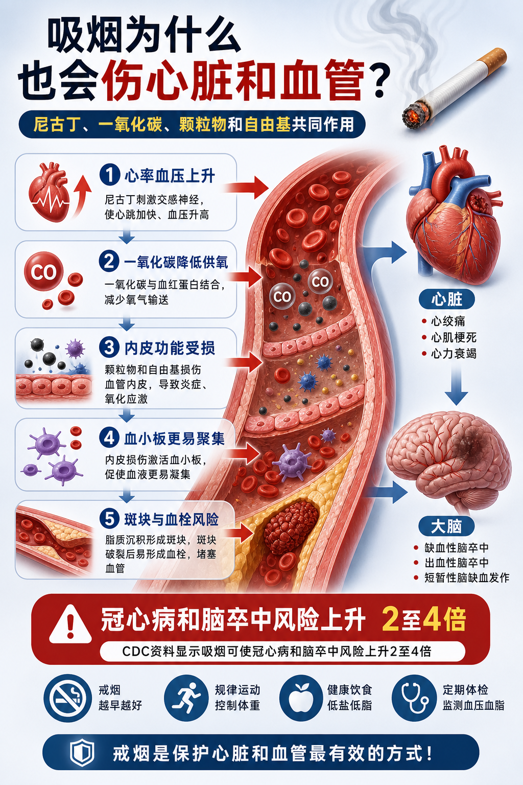 吸烟为什么也会伤心脏和血管?