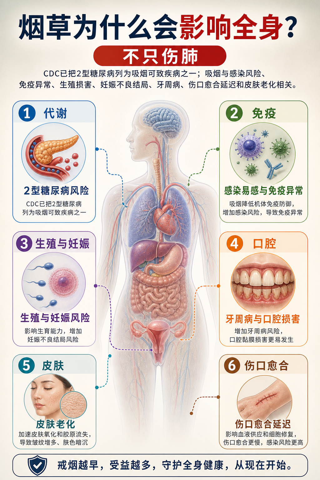 烟草为什么会影响全身?